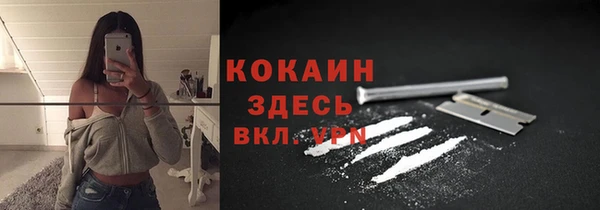 apvp Корсаков