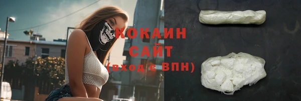 винт Коряжма