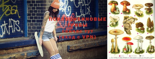 apvp Корсаков