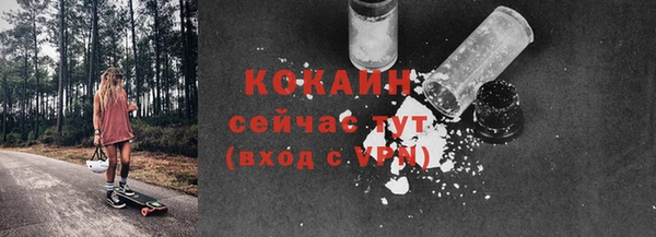 винт Коряжма