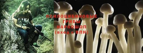 apvp Корсаков