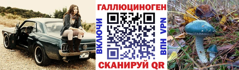 Галлюциногенные грибы MAGIC MUSHROOMS  Купить  Пустошка 
